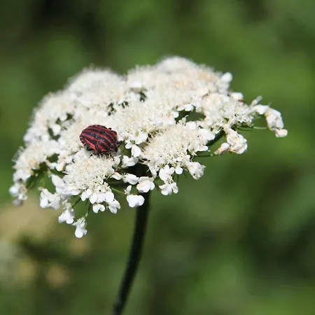 Kirsal Silence Hotel Sapanca
